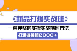 《新品打爆实战班》一套完整的实操实战落地方法，打爆链接超2000+（28节课)