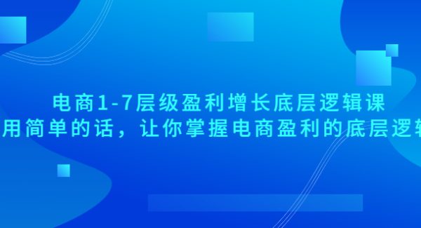 电商1-7层级盈利增长底层逻辑课：用简单的话，让你掌握电商盈利的底层逻辑