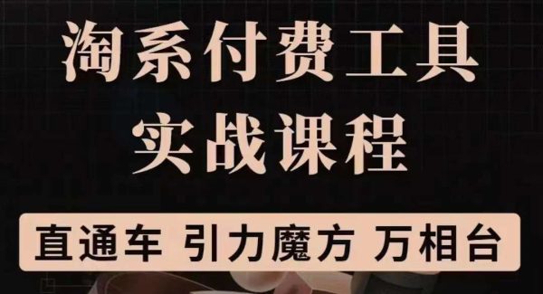 淘系付费工具实战课程【直通车、引力魔方】战略优化，实操演练（价值1299）