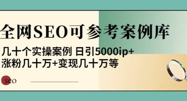 《全网SEO可参考案例库》几十个实操案例