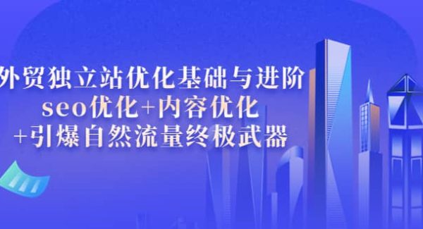 外贸独立站优化基础与进阶，seo优化 内容优化 引爆自然流量终极武器