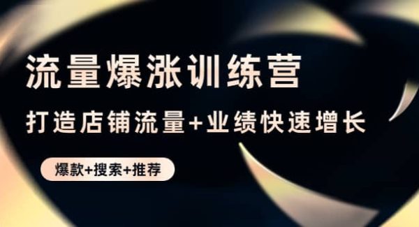 流量爆涨训练营：打造店铺流量 业绩快速增长 (爆款 搜索 推荐)