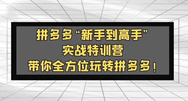 拼多多“新手到高手”实战特训营：带你全方位玩转拼多多