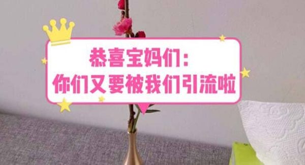 恭喜宝妈们：你们又要被我们引流了（教程 222g资料）