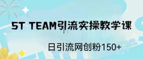 ST TEAM引流实操课，日引流网创粉100