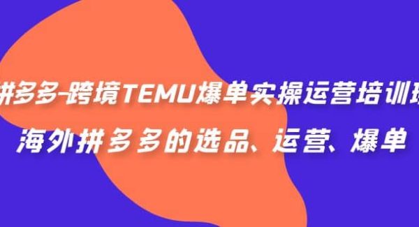 拼多多-跨境TEMU爆单实操运营培训班，海外拼多多的选品、运营、爆单