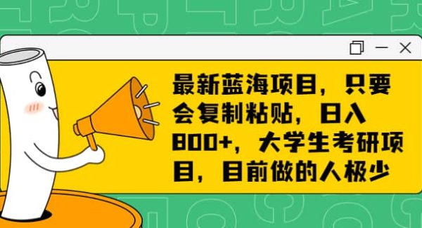 最新蓝海项目，只要会复制粘贴，日入800 ，大学生考研项目，目前做的人极少