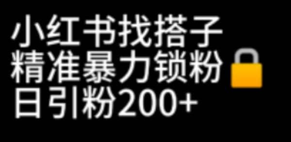 小红书找搭子暴力精准锁粉 引流日引200 精准粉